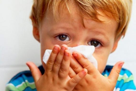 Аллергия у ребенка лечение в домашних условиях комаровский Аллергия у ребенка 2 года лечение комаровский
