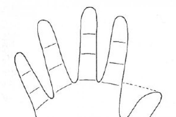 Большой палец и характер Что означают линии на большом пальце